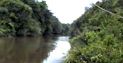 Urwald mi Fluss in Venezuela